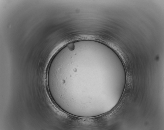 X0000095961090200801181439