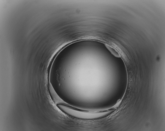X0000095961092200801181439