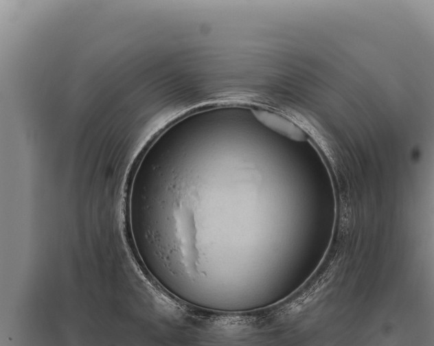 X0000095961093200801181439