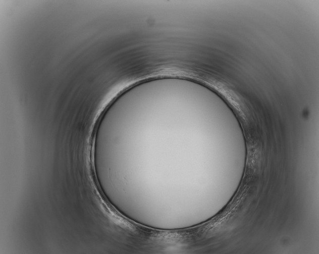 X0000095961094200801181439
