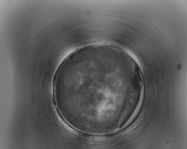 X0000095961095200801181439