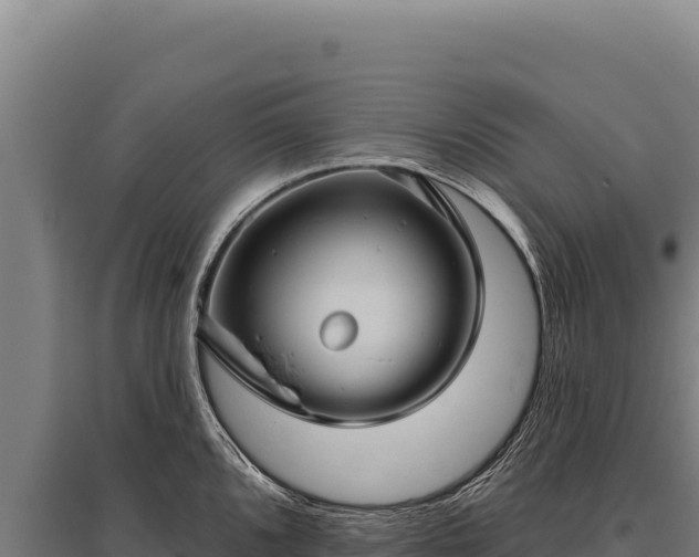 X0000095961096200801181439