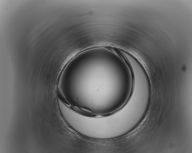 X0000095961097200801181439