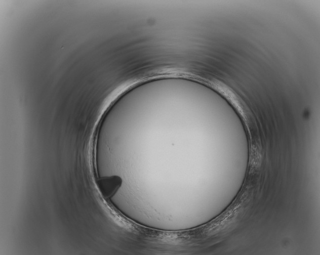 X0000095961098200801181439