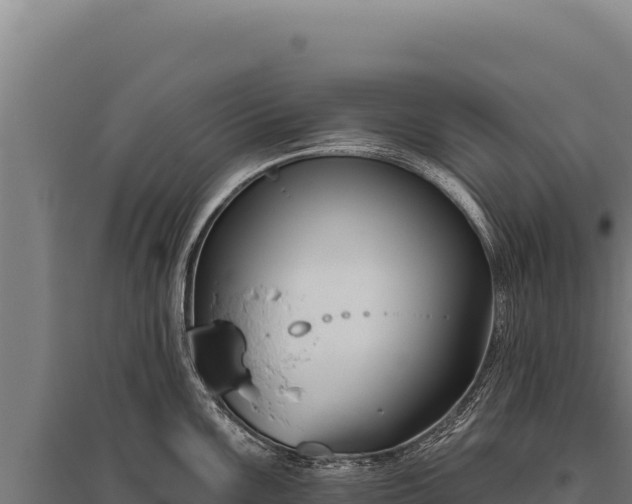 X0000095961099200801181439