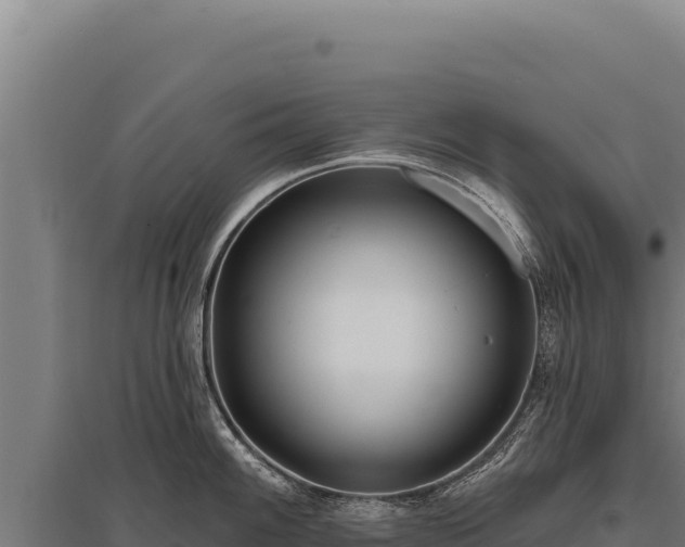 X0000095961100200801181439