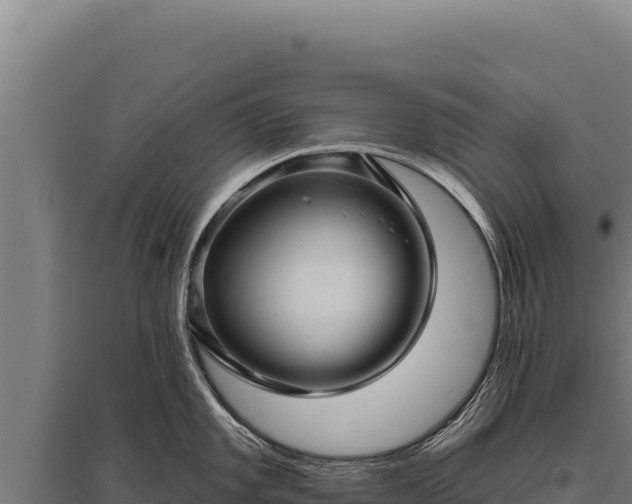 X0000095961101200801181439