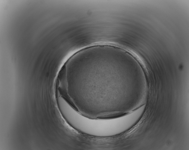 X0000095961102200801181439