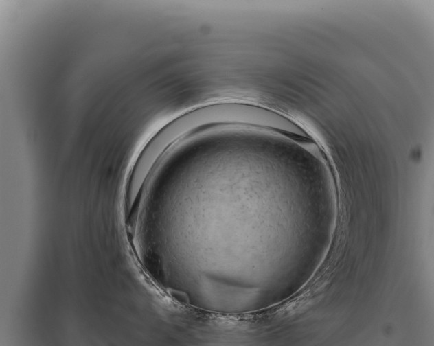 X0000095961104200801181439