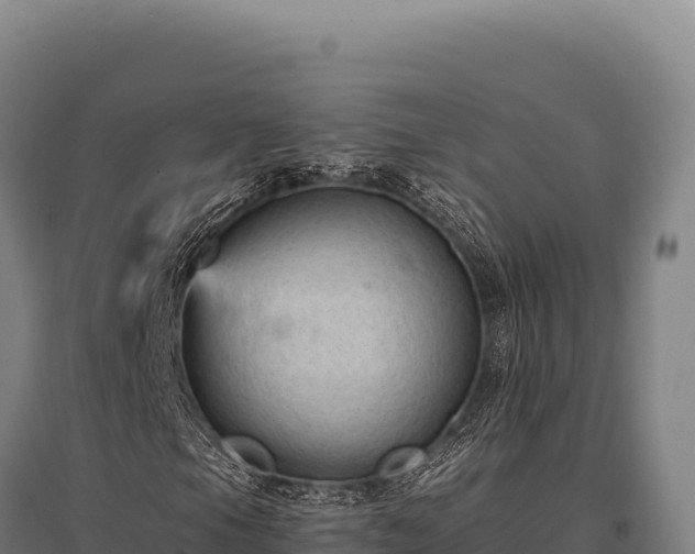 X0000095961105200801181438