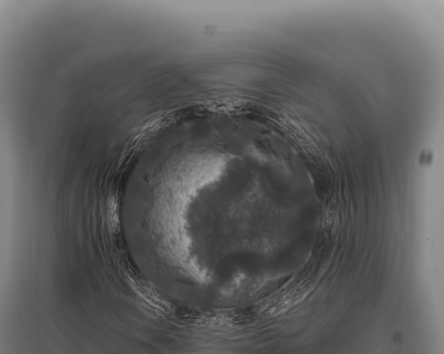 X0000095961106200801181438