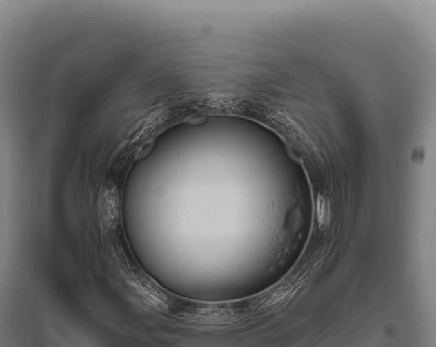 X0000095961107200801181438