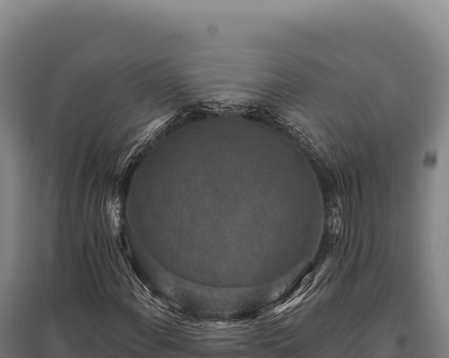 X0000095961108200801181438