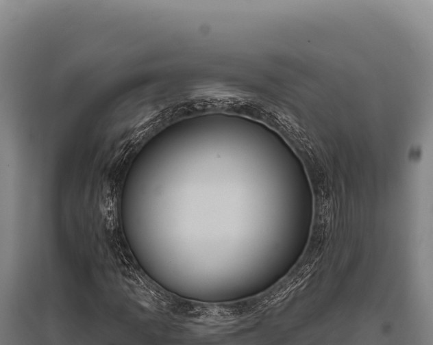 X0000095961109200801181438