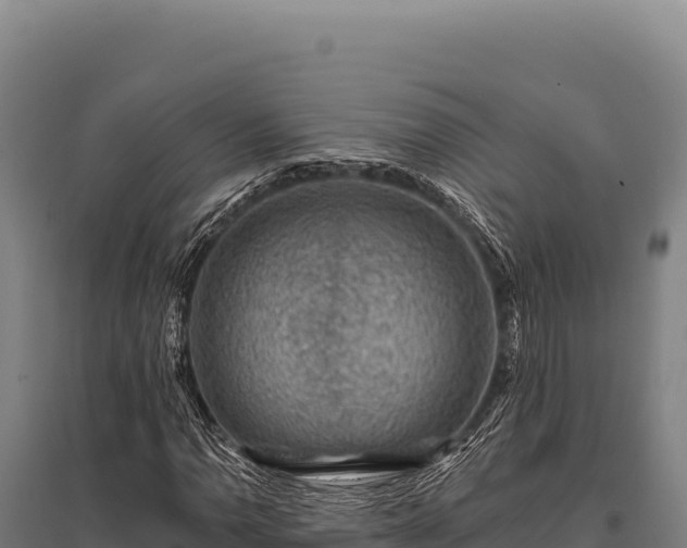 X0000095961110200801181438