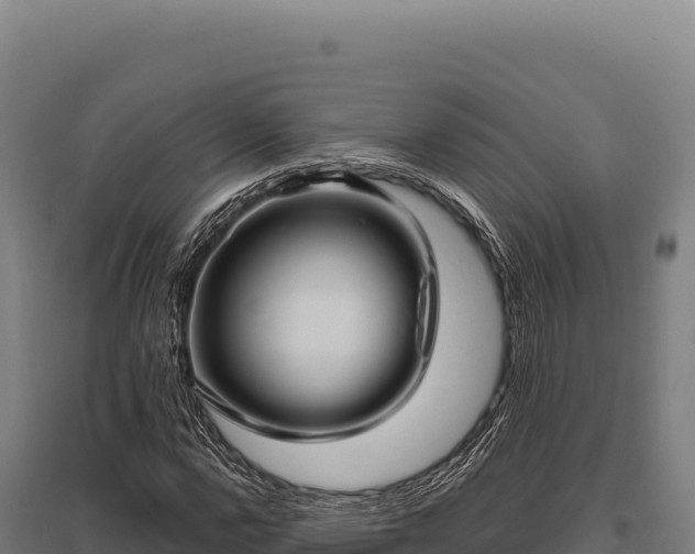 X0000095961112200801181438