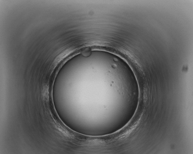 X0000095961113200801181438