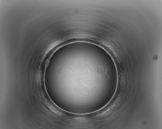 X0000095961114200801181438