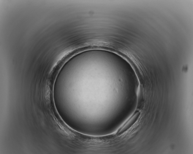 X0000095961115200801181438