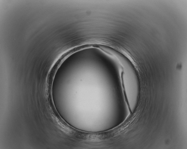X0000095961116200801181438