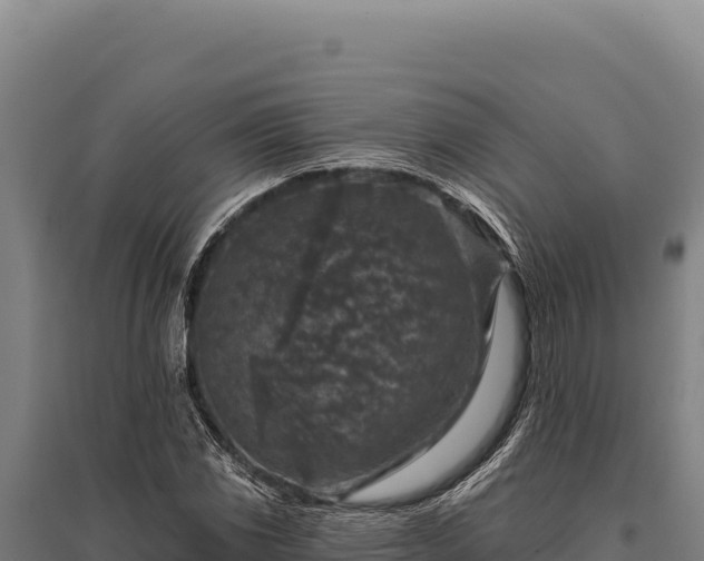 X0000095961117200801181438