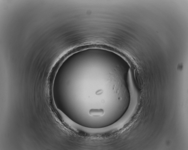 X0000095961118200801181438