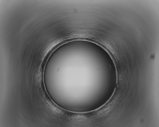 X0000095961119200801181438