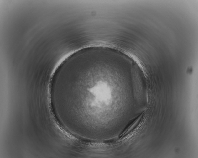 X0000095961120200801181438