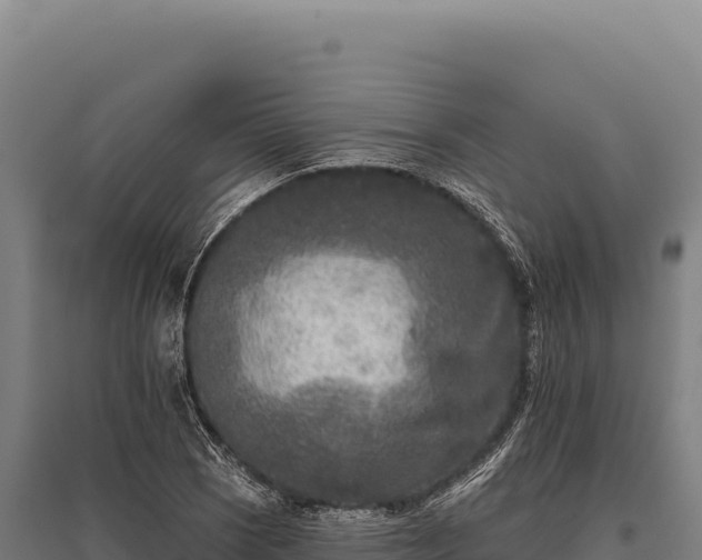 X0000095961121200801181438