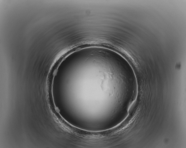 X0000095961122200801181438