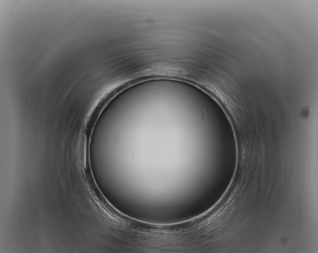 X0000095961123200801181438