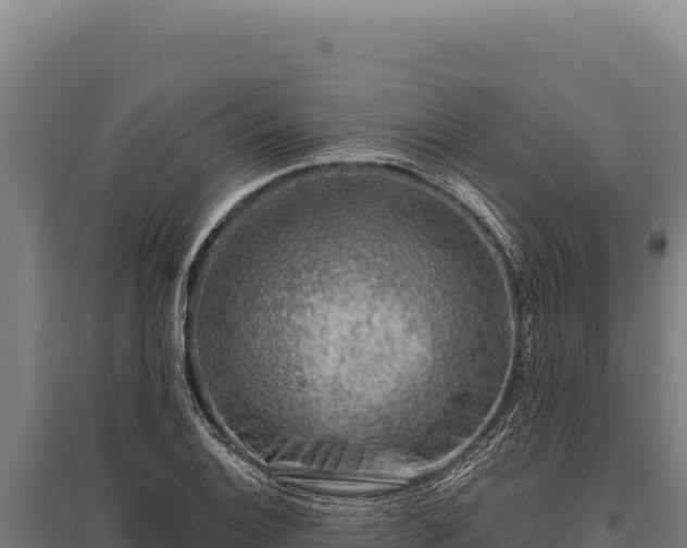 X0000095961124200801181438