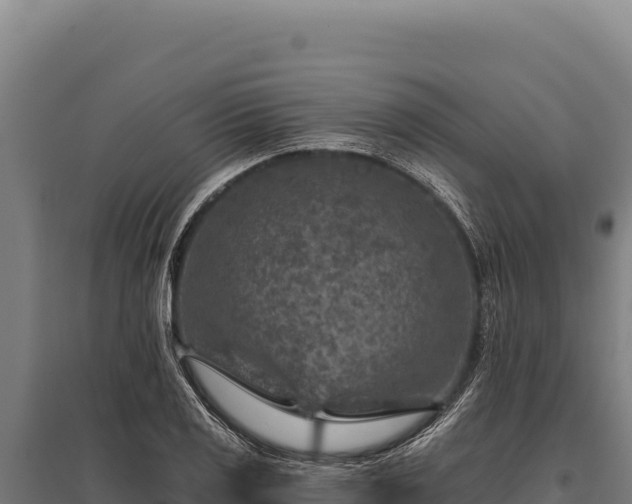 X0000095961125200801181438