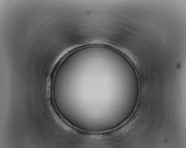 X0000095961126200801181438