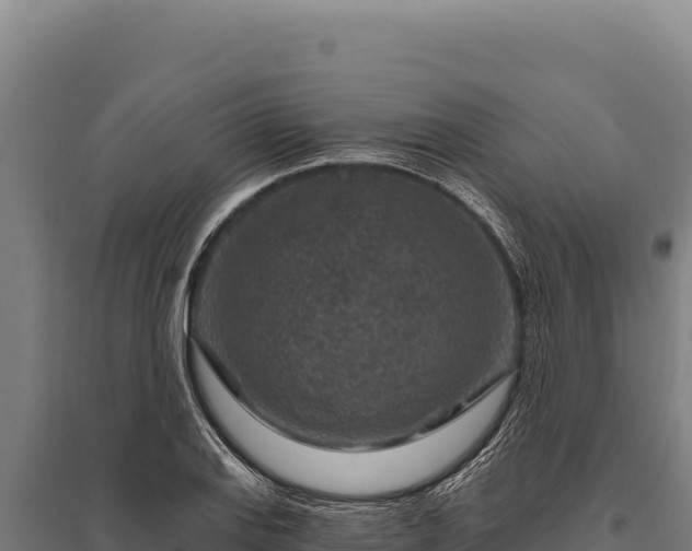X0000095961127200801181438