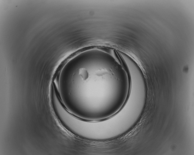 X0000095961128200801181438