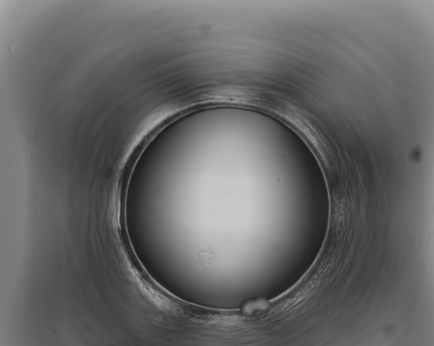 X0000095961131200801181439
