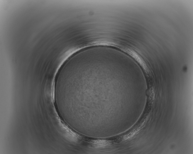 X0000095961132200801181439