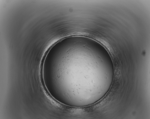 X0000095961135200801181439