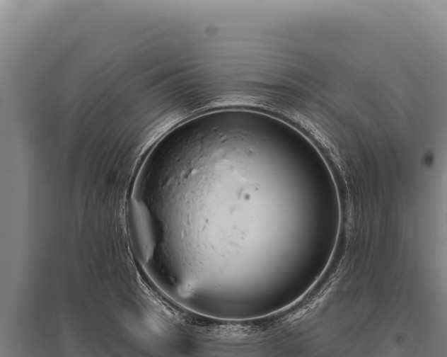 X0000095961137200801181439