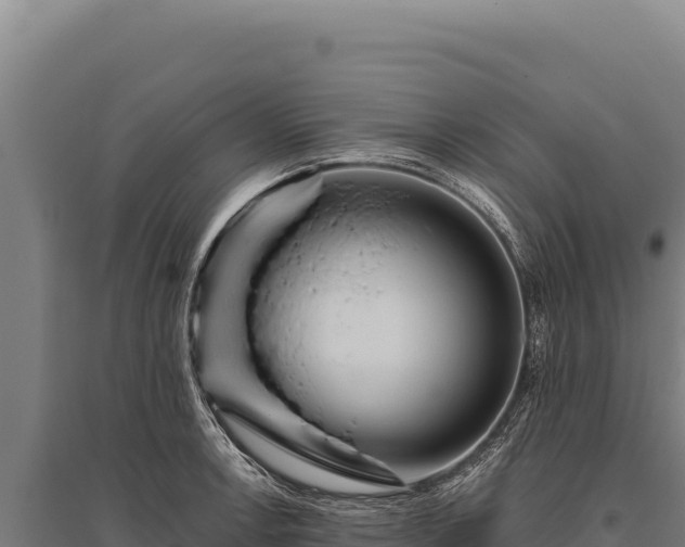 X0000095961138200801181439