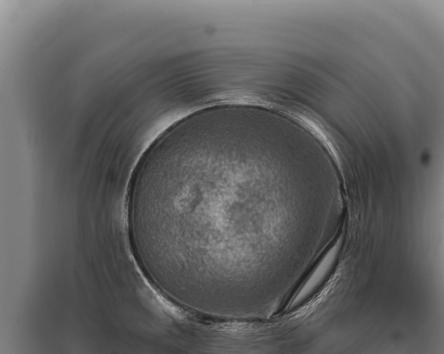 X0000095961141200801181439
