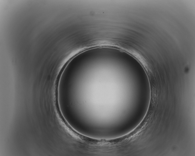 X0000095961142200801181439