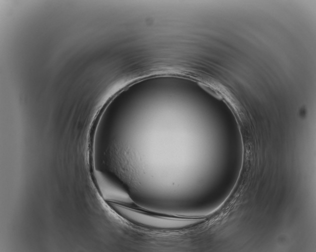 X0000095961143200801181439