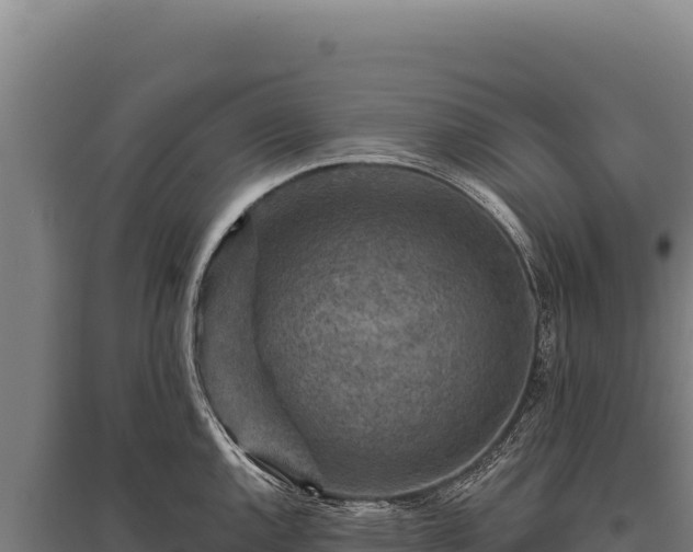 X0000095961144200801181439