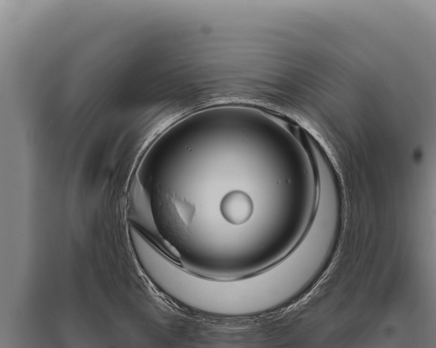 X0000095961145200801181439