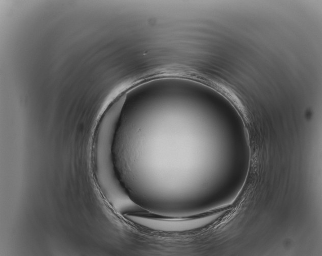 X0000095961146200801181439