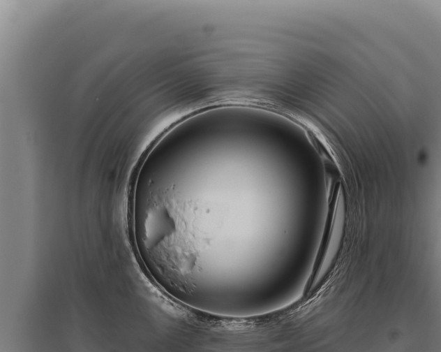 X0000095961147200801181439