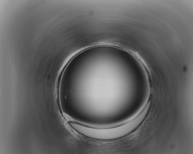 X0000095961148200801181439