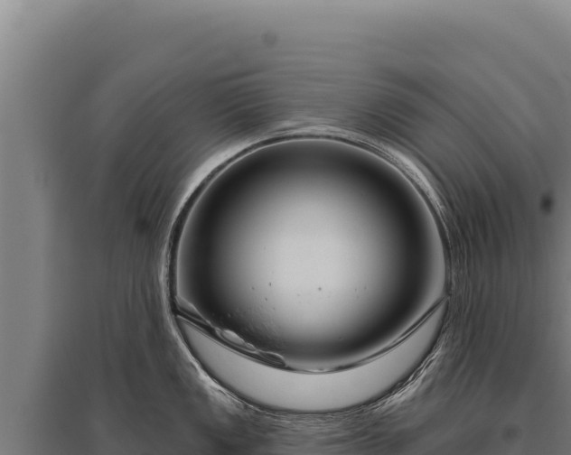 X0000095961149200801181439